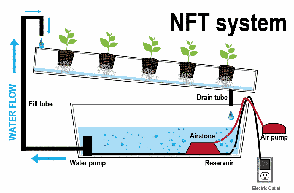 Pastikan kemiringan growing tray dapat mengaliri akar tanaman dengan baik